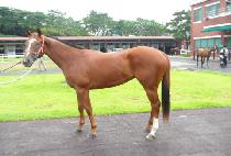 �������� (SEONBONG JEWANG) ����