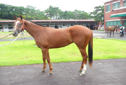 �������� ����