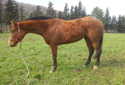 ��ġ����ƾ ����