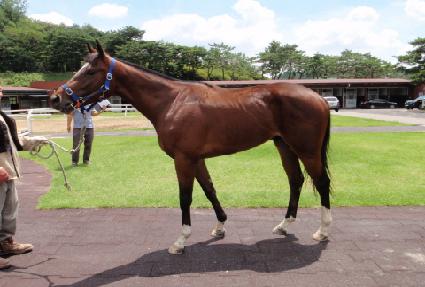 ����Ƽ�긮�� ����