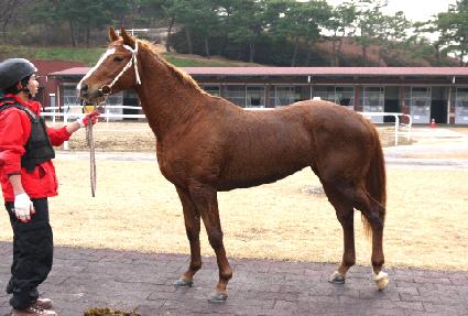 �ƶ���� ����