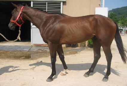 �׷���Ʈ���� ����