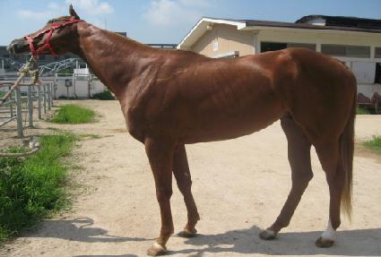 ����ư���� ����