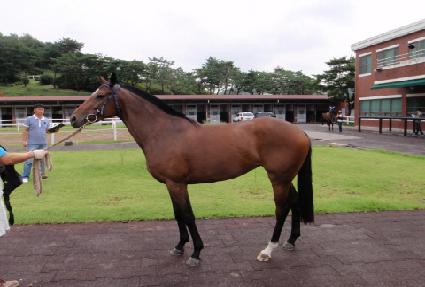 �������� ����