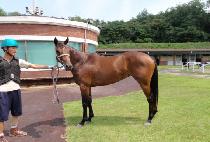 ���ûǳ (JANGSAN CHEONGPUNG) ����