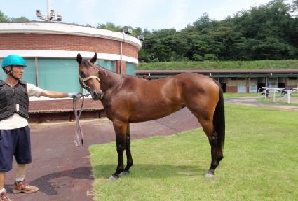 ���ûǳ ����