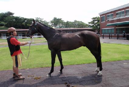 ����ַ� ����