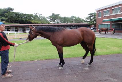 ���̾�Ư�� ����