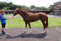 ��굹ǳ (JANGSAN DOLPUNG) ����