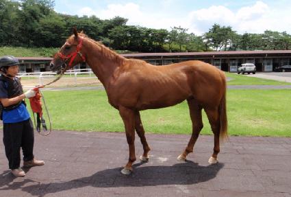 ����Ƽ���� ����