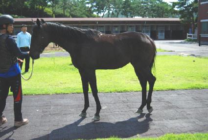 ���״�� ����