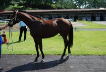 ��Ŀ������ (CONQUERINGTHEWIN) ����