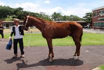 �����̽���Ʈ (SPACE PORT) ����