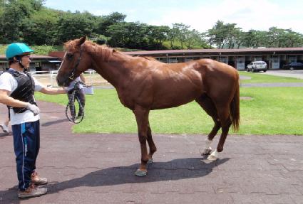 ���� ����