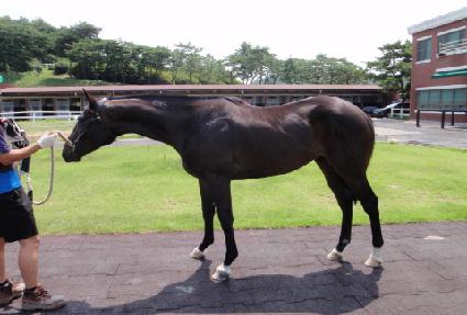 ������Ʈ ����