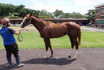 ���� (YESANG) ����