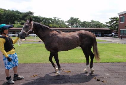 ������� ����