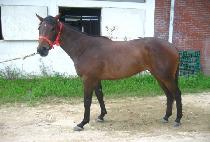 ��λ꼺 (BAEKDU SANSEONG) ����