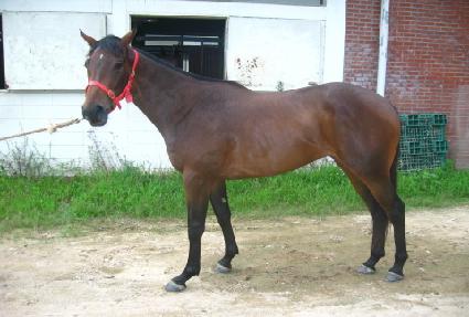 ��λ꼺 ����