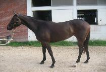 ��ƼǮ�� (BEAUTIFUL QUEEN) ����