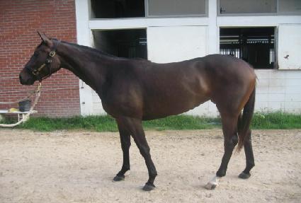 ��ƼǮ�� ����