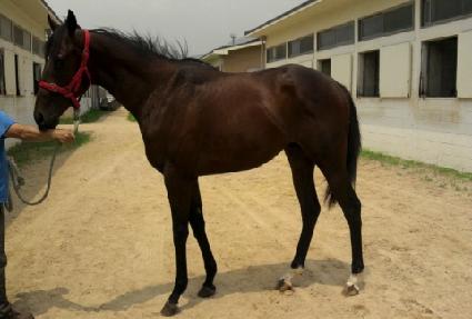 �Ҽȷ��� ����