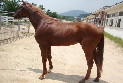 õ��Ư�� ����