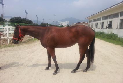 �׷���Ʈ���� ����