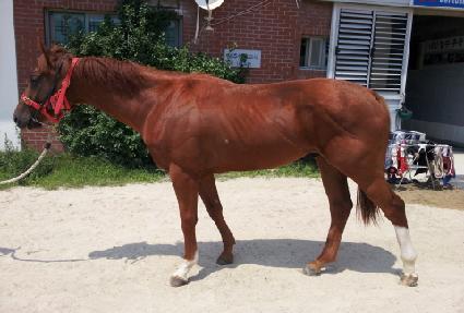 ������ص����Ʈ ����