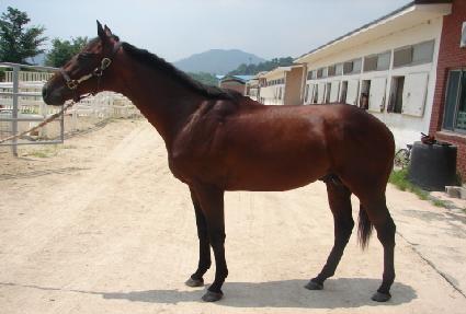 ���ľƸ޸�ĭ ����