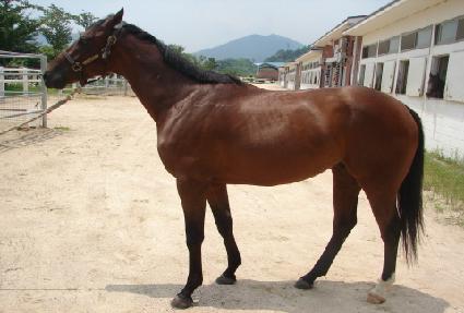 ���� ����