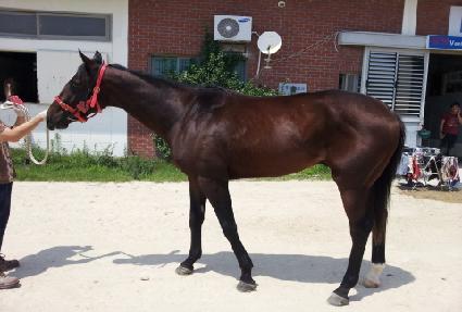 ��� ����