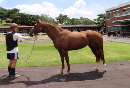 ���ϰ� ����