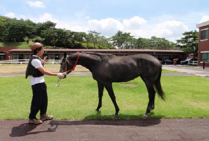 ��·�� ����