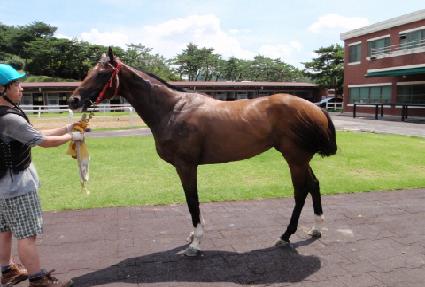 ������������ ����