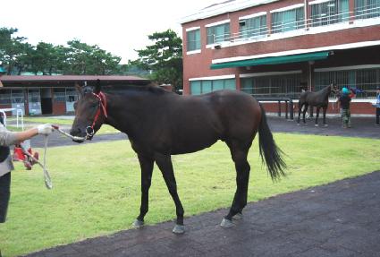 �ݼ��� ����