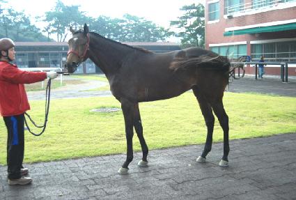 �ٴ����� ����