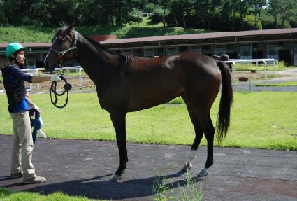 ����ī�� ����