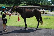 ��������ũ��� (ENVY OF THE CROWN) ����