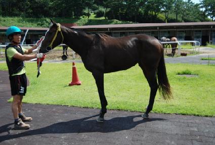 ��������ũ��� ����