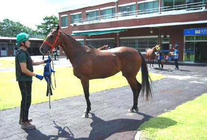 ��Ű��� ����