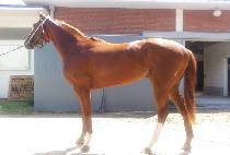 ���庣��Ʈ (BEYOND BEST) ����