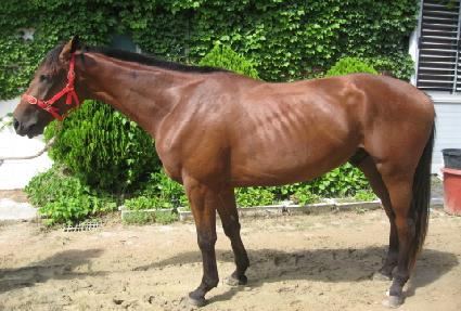 ���ۺ��� ����