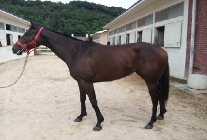 ���׵����Υ� ����