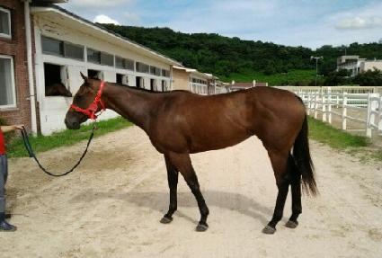 �ڸ��Ƴѹ��� ����