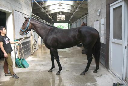 ��Ÿ��Ʈ ����