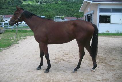 ������ġ ����