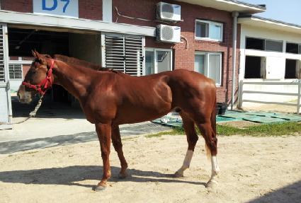 ����ö�� ����