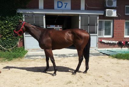 ��ȣ�屺 ����