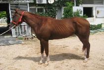 ��������� (JEONGNAMJIN SARANG) ����